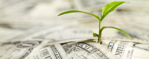 cash grow