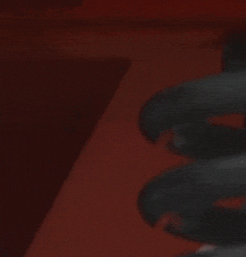 Springs in Motion